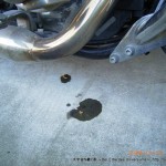 2008_12_23_saddlebag-oil 001