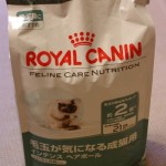 2012_03_18_cat - コピー